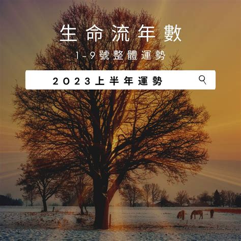 2023生命靈數流年5|2023生命流年數看整體運勢，找到年度幸運方向（含。